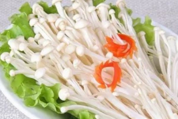 金針菇有什么營(yíng)養(yǎng)價(jià)值呢 金針菇生長(zhǎng)在什么環(huán)境下呢 金針菇有什么營(yíng)養(yǎng)價(jià)值呢 金針菇生長(zhǎng)在什么環(huán)境下呢