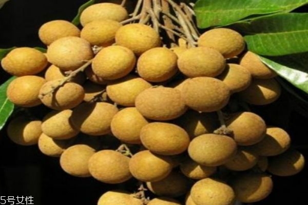 桂圓有什么營養(yǎng)價(jià)值呢 吃桂圓有什么好處呢 桂圓有什么營養(yǎng)價(jià)值呢 吃桂圓有什么好處呢