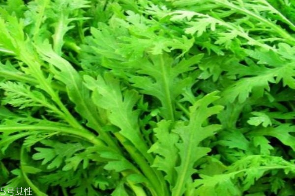 什么是茼蒿呢 茼蒿有什么營養(yǎng)價(jià)值呢 什么是茼蒿呢 茼蒿有什么營養(yǎng)價(jià)值呢