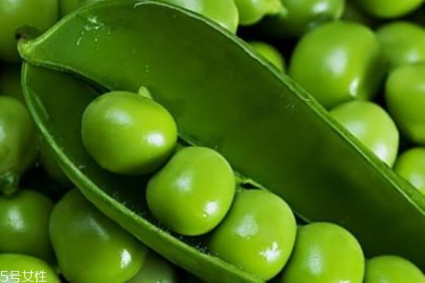 吃豌豆有什么注意的呢 豌豆有什么禁忌呢 吃豌豆有什么注意的呢 豌豆有什么禁忌呢