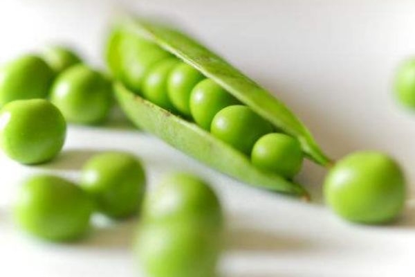 吃豌豆有什么注意的呢 豌豆有什么禁忌呢 吃豌豆有什么注意的呢 豌豆有什么禁忌呢
