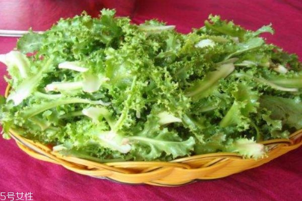 什么是銀絲菜呢 銀絲菜有什么營養(yǎng)價值呢 什么是銀絲菜呢 銀絲菜有什么營養(yǎng)價值呢