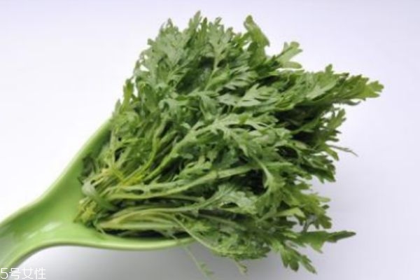 什么是銀絲菜呢 銀絲菜有什么營養(yǎng)價值呢 什么是銀絲菜呢 銀絲菜有什么營養(yǎng)價值呢