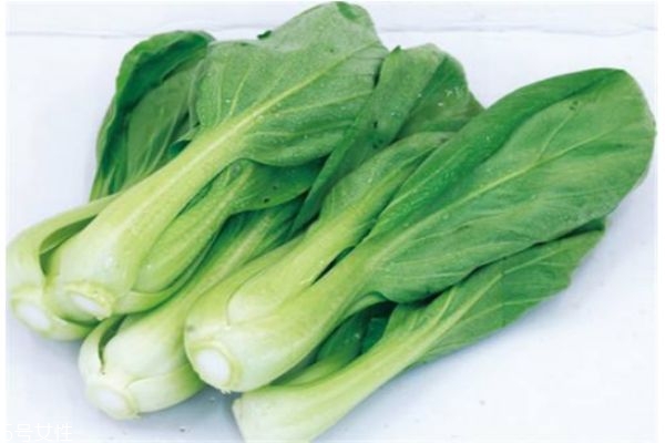 小白菜有什么營養(yǎng)價值呢 吃小白菜有什么好處呢 小白菜有什么營養(yǎng)價值呢 吃小白菜有什么好處呢