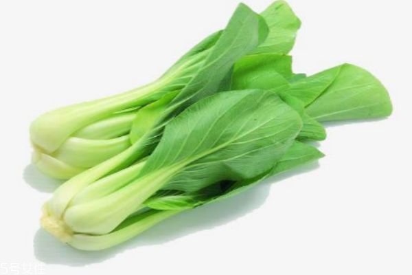 小白菜有什么營養(yǎng)價值呢 吃小白菜有什么好處呢 小白菜有什么營養(yǎng)價值呢 吃小白菜有什么好處呢