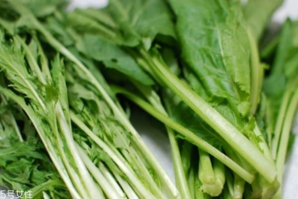 什么是千寶菜呢 千寶菜有什么營養(yǎng)價(jià)值呢 什么是千寶菜呢 千寶菜有什么營養(yǎng)價(jià)值呢