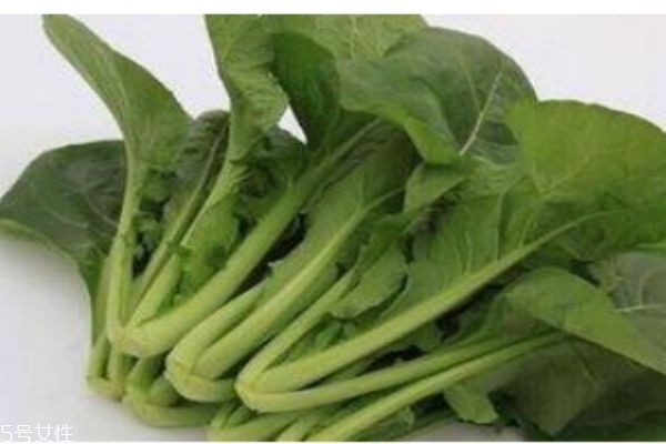 什么是千寶菜呢 千寶菜有什么營養(yǎng)價(jià)值呢 什么是千寶菜呢 千寶菜有什么營養(yǎng)價(jià)值呢