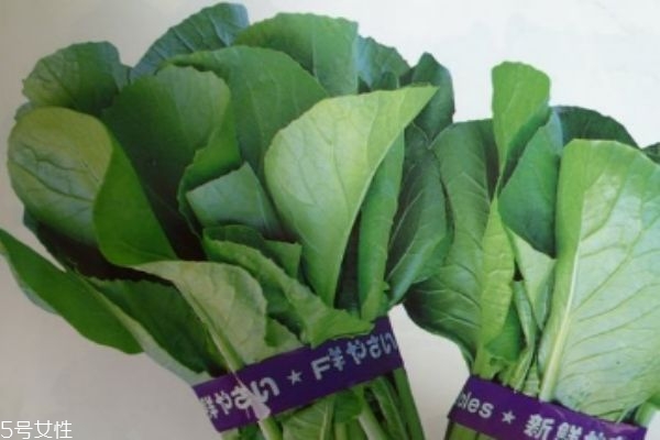 什么是千寶菜呢 千寶菜有什么營養(yǎng)價(jià)值呢 什么是千寶菜呢 千寶菜有什么營養(yǎng)價(jià)值呢