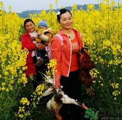 結(jié)婚后可以回娘家嗎？結(jié)婚后多久可以回娘家？