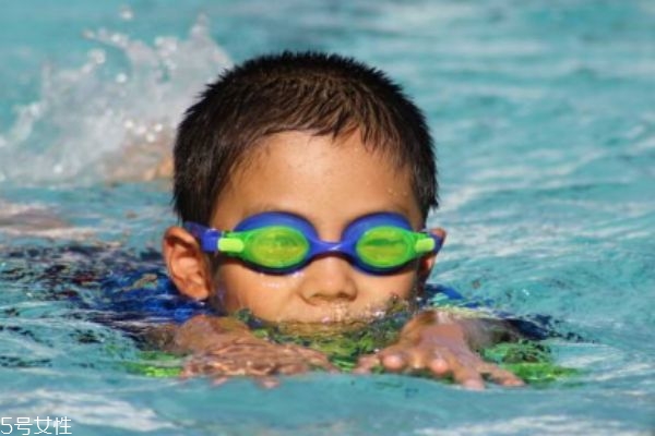 什么是食腦蟲呢 食腦蟲生長在哪里呢 什么是食腦蟲呢 食腦蟲生長在哪里呢