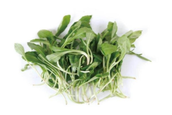 什么是馬蘭頭 馬蘭頭有什么營養(yǎng)價(jià)值呢 什么是馬蘭頭 馬蘭頭有什么營養(yǎng)價(jià)值呢