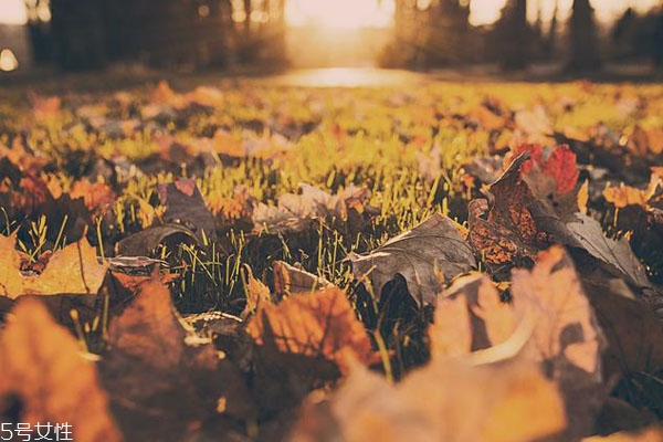 學(xué)歷會(huì)不會(huì)影響戀愛(ài) 影響戀愛(ài)的因素有哪些 學(xué)歷會(huì)不會(huì)影響戀愛(ài) 影響戀愛(ài)的因素有哪些