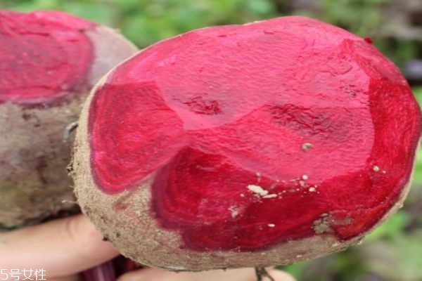 什么是紅菜頭呢 紅菜頭有什么營養(yǎng)價(jià)值呢