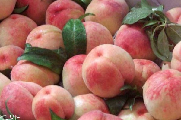 水蜜桃有什么營養(yǎng)價值呢 吃水蜜桃有什么好處呢 水蜜桃有什么營養(yǎng)價值呢 吃水蜜桃有什么好處呢