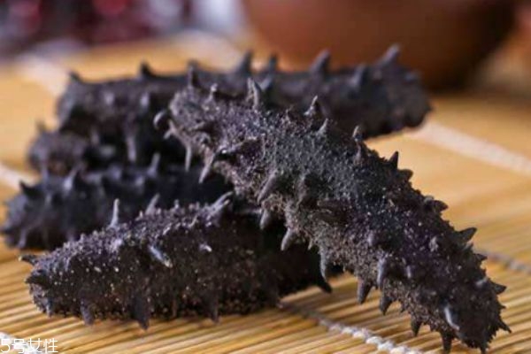 海參有什么營養(yǎng)價值呢 吃海參有什么好處呢 海參有什么營養(yǎng)價值呢 吃海參有什么好處呢