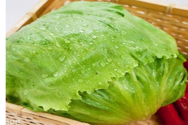 什么是西生菜呢 西生菜有什么營養(yǎng)價值呢 什么是西生菜呢 西生菜有什么營養(yǎng)價值呢