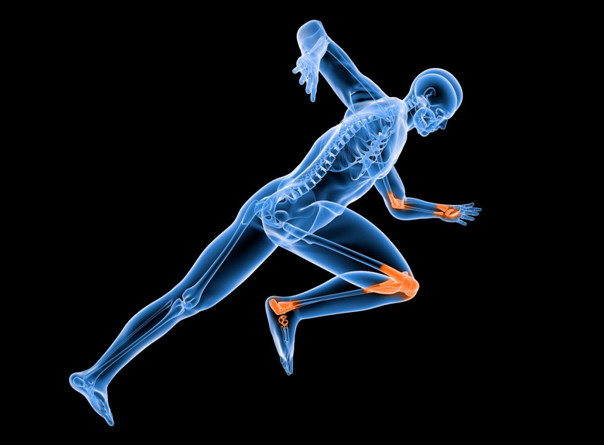 氨糖軟骨素是什么？日常生活中如何補充氨糖軟骨素