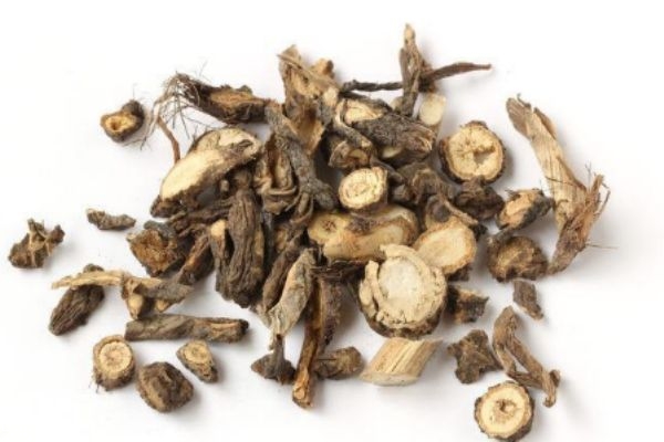 前胡應(yīng)該怎么服用呢 前胡有什么服用禁忌嗎 前胡應(yīng)該怎么服用呢 前胡有什么服用禁忌嗎