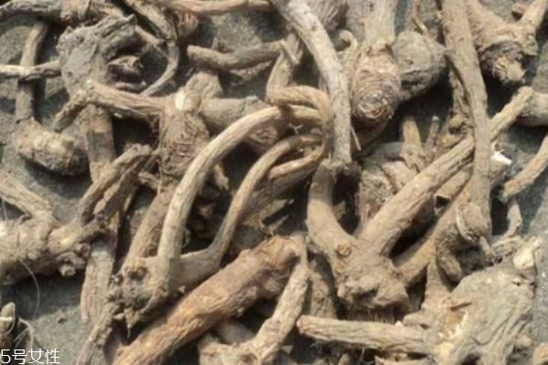 前胡應(yīng)該怎么服用呢 前胡有什么服用禁忌嗎 前胡應(yīng)該怎么服用呢 前胡有什么服用禁忌嗎