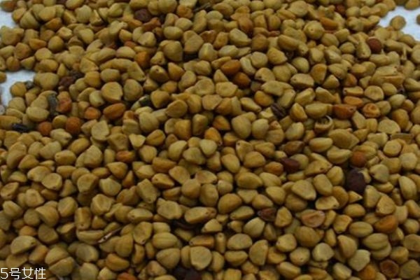 什么是白丑呢 白丑有什么作用呢 什么是白丑呢 白丑有什么作用呢