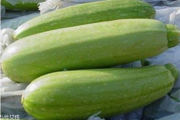 什么是北瓜呢 北瓜有什么營養(yǎng)價(jià)值呢 什么是北瓜呢 北瓜有什么營養(yǎng)價(jià)值呢