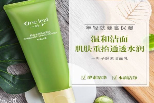 一葉子鮮補(bǔ)水保濕潔面乳適合膚質(zhì) 一葉子鮮補(bǔ)水潔面用法 一葉子鮮補(bǔ)水保濕潔面乳適合膚質(zhì) 一葉子鮮補(bǔ)水潔面用法