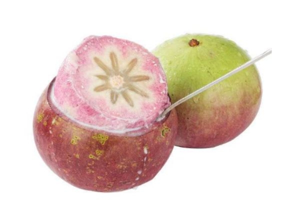 什么是牛奶果呢 牛奶果有什么營養(yǎng)價(jià)值呢