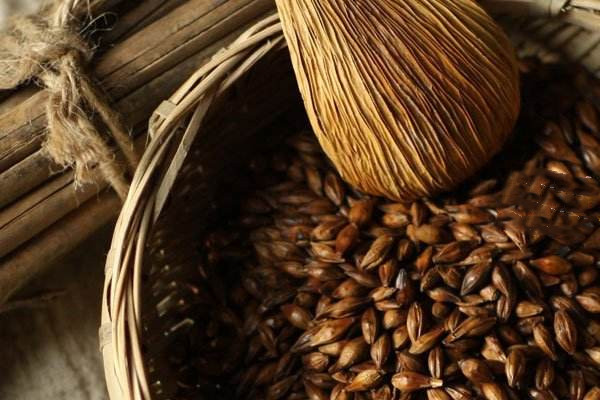 大麥茶泡水喝的功效 大麥茶什么人不宜喝 大麥茶泡水喝的功效 大麥茶什么人不宜喝