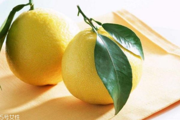 柚子怎么挑選才甜 買柚子挑什么樣的甜 柚子怎么挑選才甜 買柚子挑什么樣的甜