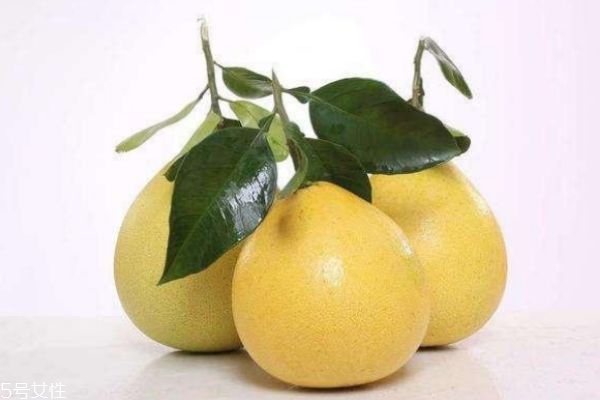柚子怎么挑選才甜 買柚子挑什么樣的甜 柚子怎么挑選才甜 買柚子挑什么樣的甜