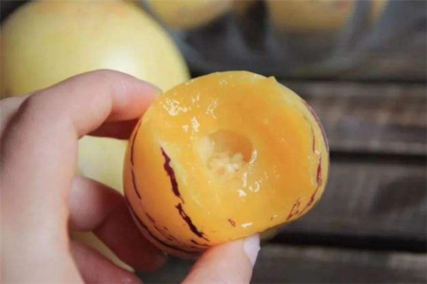 人參果可以放冰箱嗎 人參果怎么保存 人參果可以放冰箱嗎 人參果怎么保存