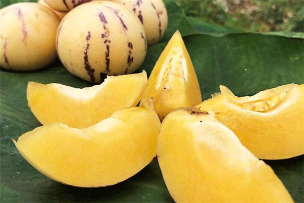 人參果怎么催熟 人參果曬太陽(yáng)能快熟嗎