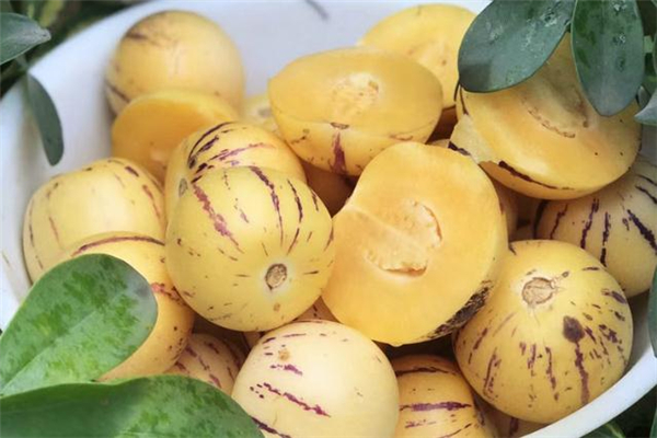 人參果一天最多吃幾個 人參果吃多了會怎樣 人參果一天最多吃幾個 人參果吃多了會怎樣