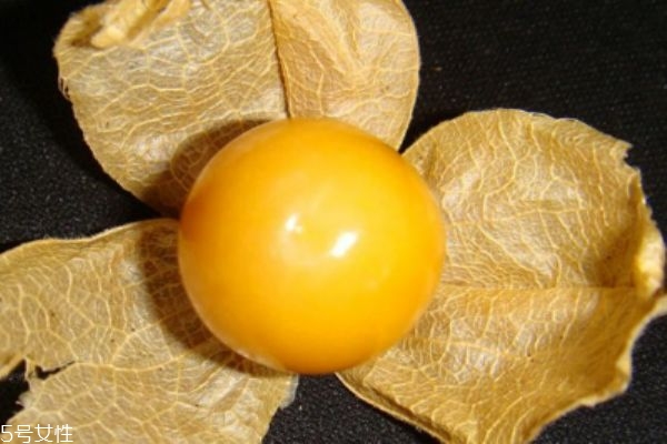 什么是龍珠果呢 龍珠果有什么營養(yǎng)價(jià)值呢 什么是龍珠果呢 龍珠果有什么營養(yǎng)價(jià)值呢