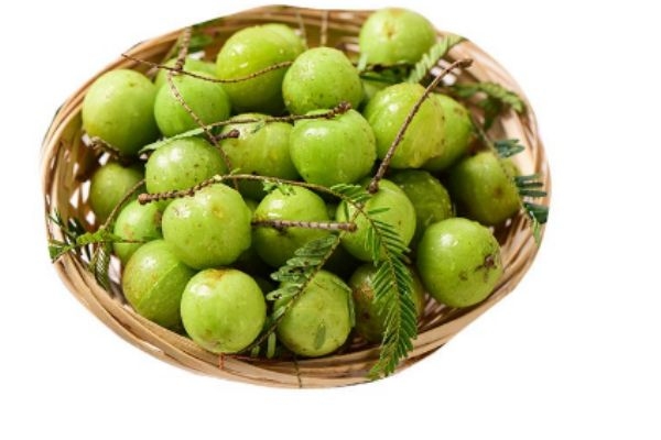 什么是油甘子呢 油甘子有什么營(yíng)養(yǎng)價(jià)值呢 什么是油甘子呢 油甘子有什么營(yíng)養(yǎng)價(jià)值呢