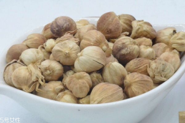 什么是白豆蔻呢 白豆蔻有什么營(yíng)養(yǎng)價(jià)值呢 什么是白豆蔻呢 白豆蔻有什么營(yíng)養(yǎng)價(jià)值呢