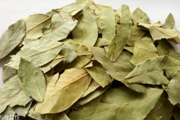 什么是香葉呢 香葉有什么作用呢 什么是香葉呢 香葉有什么作用呢