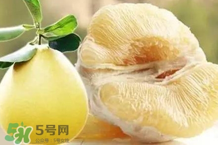 蜜柚是哪個(gè)季節(jié)的水果？蜜柚和沙田柚的區(qū)別是什么？