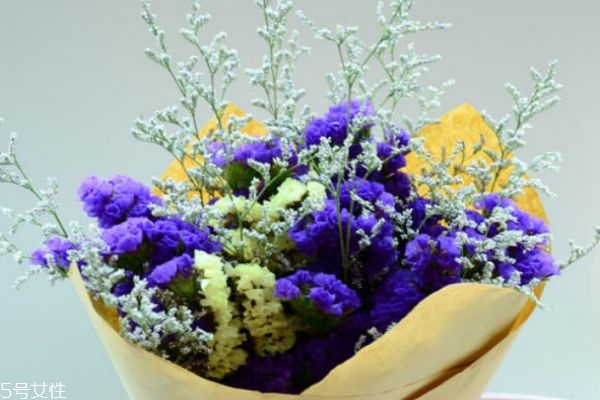 勿忘我的花語是什么呢 勿忘我的市場價格是怎么樣的呢 勿忘我的花語是什么呢 勿忘我的市場價格是怎么樣的呢