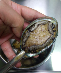 鮑魚怎么吃簡(jiǎn)單又營(yíng)養(yǎng) 餐桌上的美食 鮑魚怎么吃簡(jiǎn)單又營(yíng)養(yǎng) 餐桌上的美食