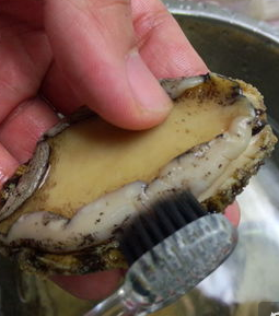 鮑魚怎么吃簡(jiǎn)單又營(yíng)養(yǎng) 餐桌上的美食 鮑魚怎么吃簡(jiǎn)單又營(yíng)養(yǎng) 餐桌上的美食