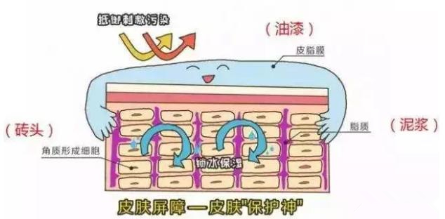 面膜敷的越多越好嗎 天天敷面膜皮膚屏障受損 面膜敷的越多越好嗎 天天敷面膜皮膚屏障受損