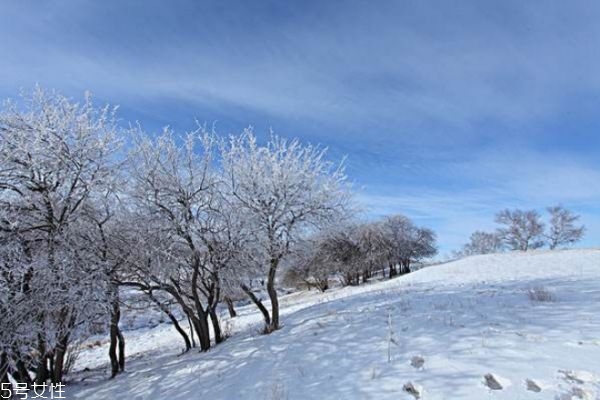 冬天怕冷是陰虛還是陽虛 畏寒怕冷怎么辦 冬天怕冷是陰虛還是陽虛 畏寒怕冷怎么辦