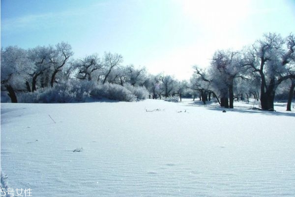 冬天怕冷是陰虛還是陽虛 畏寒怕冷怎么辦 冬天怕冷是陰虛還是陽虛 畏寒怕冷怎么辦