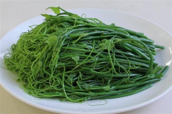 龍須菜要用熱水焯嗎 龍須菜焯水多久合適 龍須菜要用熱水焯嗎 龍須菜焯水多久合適