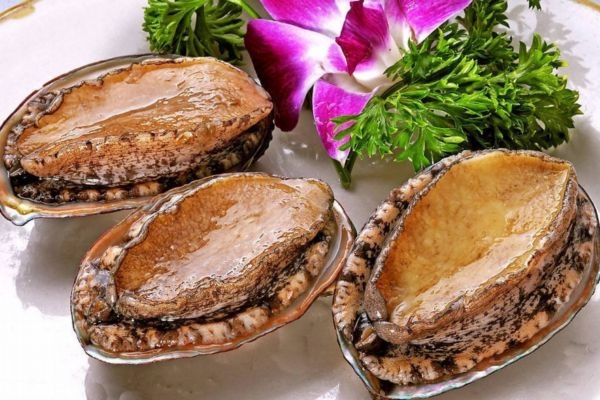鮑魚的營養(yǎng)價值有哪些呢 吃鮑魚有什么好處呢 鮑魚的營養(yǎng)價值有哪些呢 吃鮑魚有什么好處呢