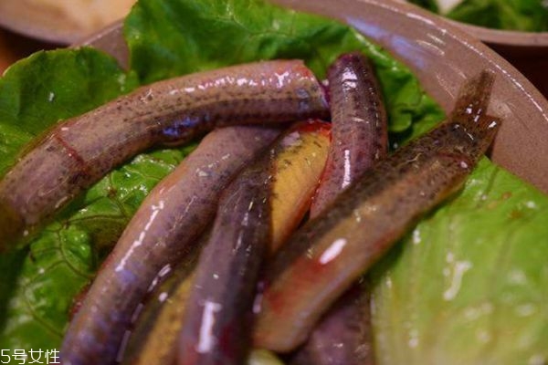 泥鰍有什么營(yíng)養(yǎng)價(jià)值呢 吃泥鰍的好處有什么呢 泥鰍有什么營(yíng)養(yǎng)價(jià)值呢 吃泥鰍的好處有什么呢