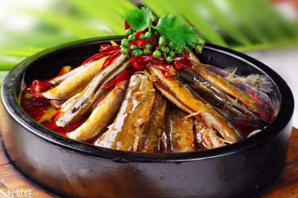 泥鰍有什么營(yíng)養(yǎng)價(jià)值呢 吃泥鰍的好處有什么呢 泥鰍有什么營(yíng)養(yǎng)價(jià)值呢 吃泥鰍的好處有什么呢