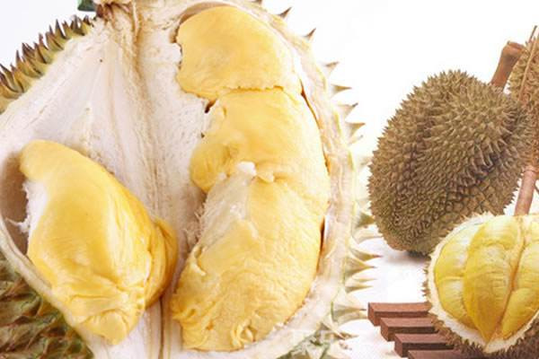 榴蓮對(duì)體寒的人有什么好處 榴蓮每天吃多少合適 榴蓮對(duì)體寒的人有什么好處 榴蓮每天吃多少合適