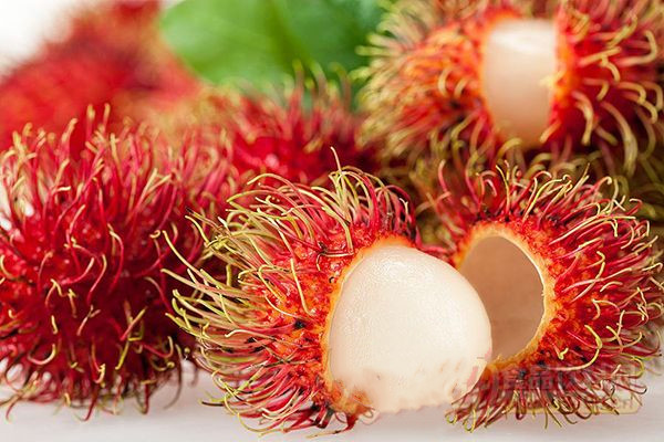 紅毛丹是什么 紅毛丹怎么挑 紅毛丹是什么 紅毛丹怎么挑